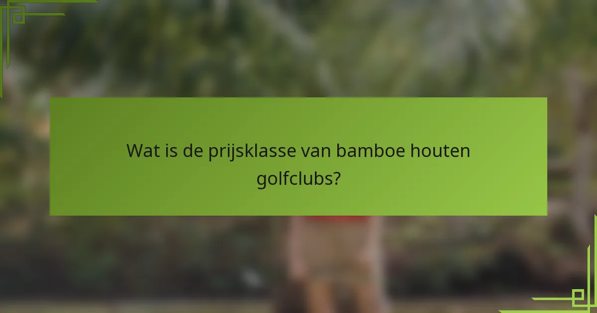 Wat is de prijsklasse van bamboe houten golfclubs?