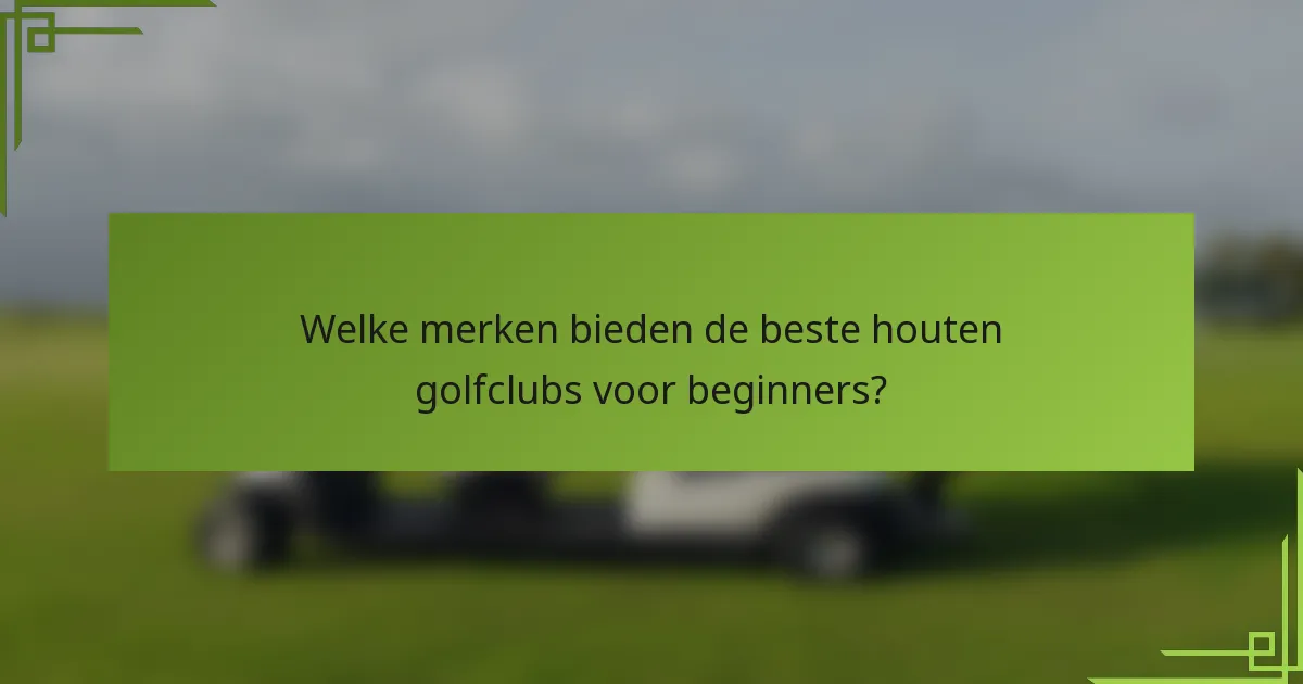 Welke merken bieden de beste houten golfclubs voor beginners?