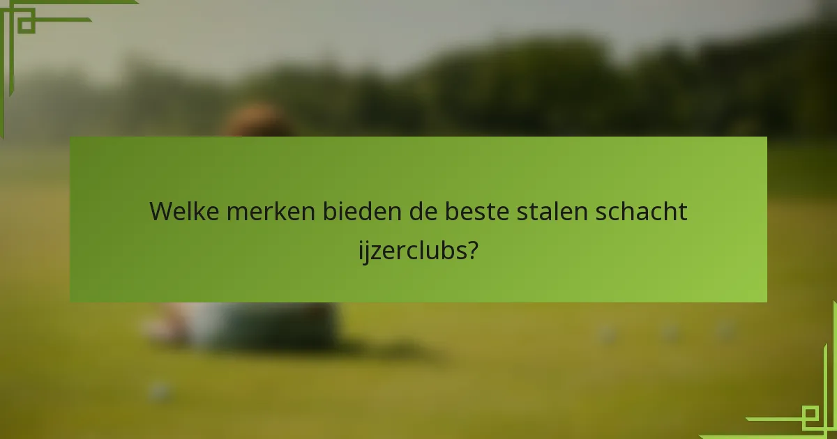 Welke merken bieden de beste stalen schacht ijzerclubs?